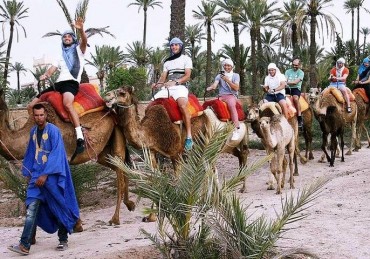 Circuit à dos de chameau à Marrakech